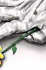 Leprosy-free India still a distant dream, cases persist in Karnataka Leprosy-free India still a distant dream, cases persist in Karnataka